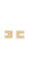 Orecchini Elisabetta Franchi OR30B56E2 con logo