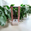 Orecchini Sodini 551005 a due fili cometa strass fuxia