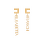 Orecchini Elisabetta Franchi OR55K42E2 logo con lettering pendente