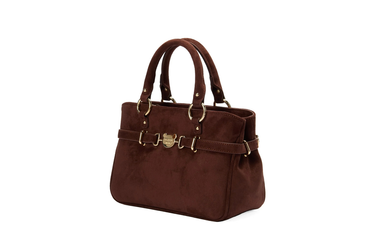 Borsa Pashbag 20313 Mini Carmel Golden in suede a tracolla