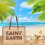 Borsa Saint Barth Vivian Straw Patch Leopardato VIV0007 00369L